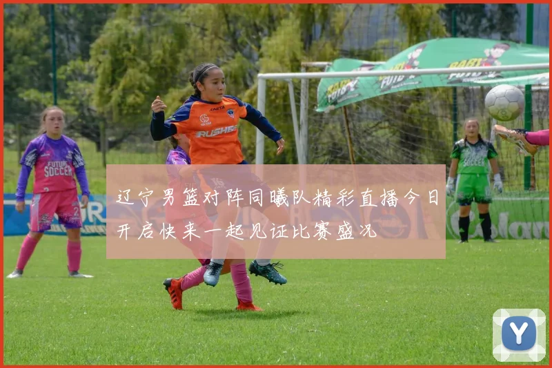 辽宁男篮对阵同曦队精彩直播今日开启快来一起见证比赛盛况