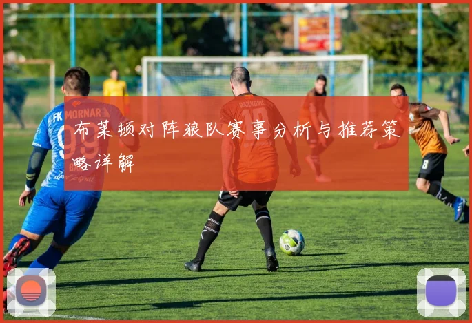 布莱顿对阵狼队赛事分析与推荐策略详解