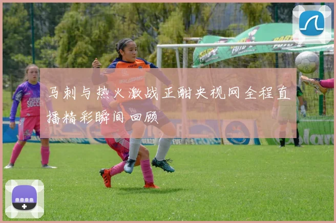 马刺与热火激战正酣央视网全程直播精彩瞬间回顾