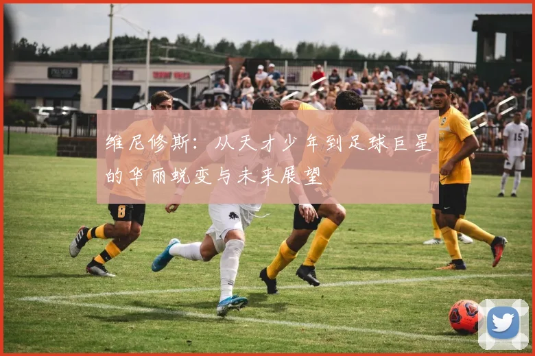 维尼修斯：从天才少年到足球巨星的华丽蜕变与未来展望