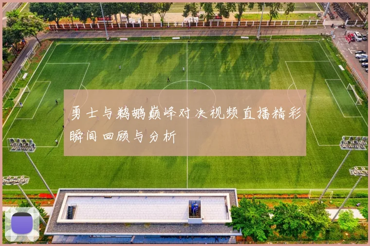 勇士与鹈鹕巅峰对决视频直播精彩瞬间回顾与分析